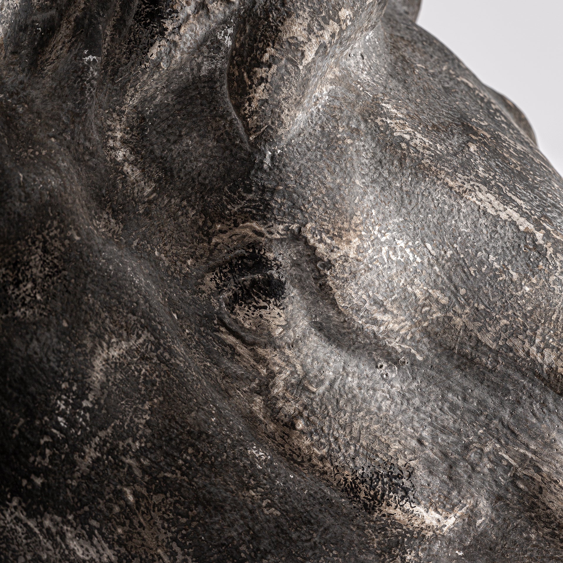 HORSE BUST